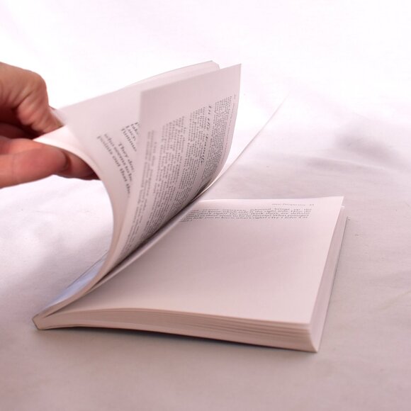 Sharing the Narnia Experience A Family Guide CS Lewis The Lion,Witch & Wardrobe - Picture 2 of 10